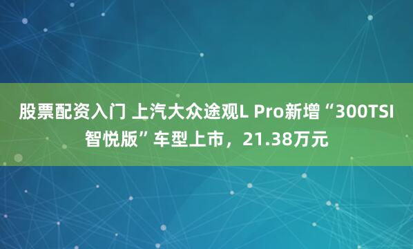 股票配资入门 上汽大众途观L Pro新增“300TSI智悦版”车型上市，21.38万元
